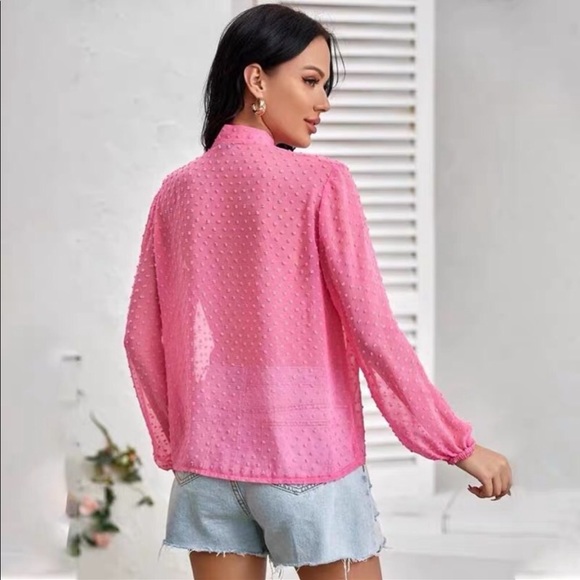 Pink Swiss Dots Tie Neck Blouse - Picture 4 of 6